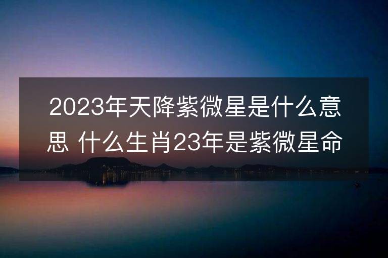 2023年天降紫微星是什么意思 什么生肖23年是紫微星命