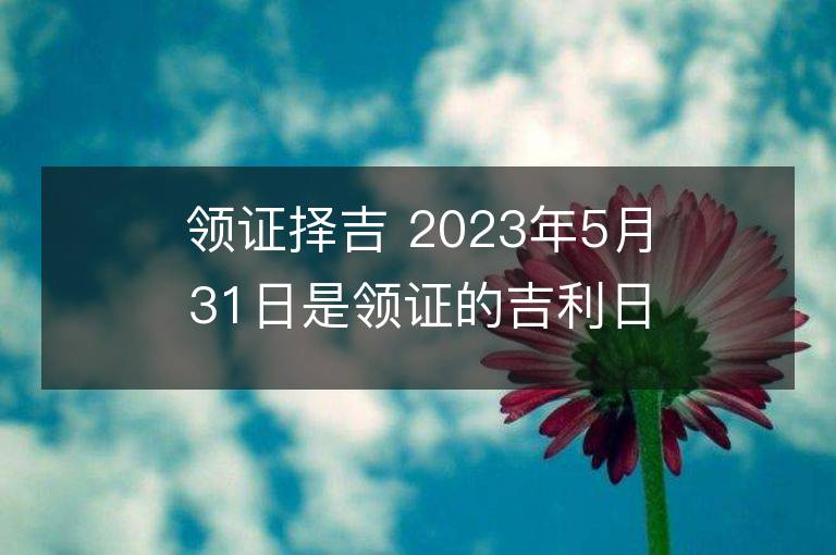 領證擇吉 2023年5月31日是領證的吉利日子嗎