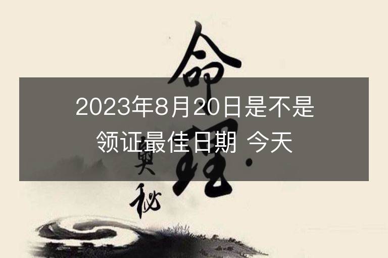 2023年8月20日是不是領證最佳日期 今天領證會幸福嗎