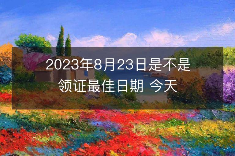 2023年8月23日是不是領證最佳日期 今天領證會幸福嗎