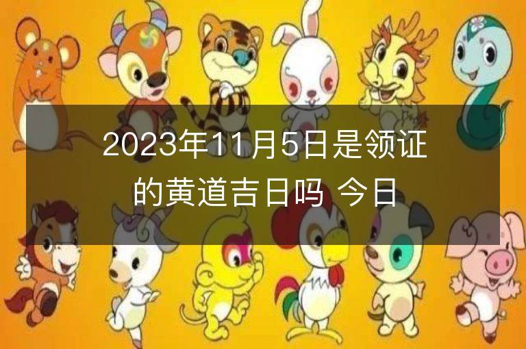 2023年11月5日是領證的黃道吉日嗎 今日適合領證嗎