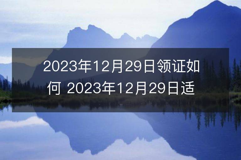 2023年12月29日領證如何 2023年12月29日適合領證嗎