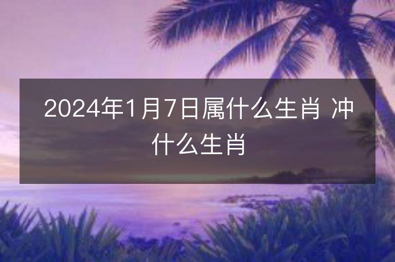 2024年1月7日屬什么生肖 沖什么生肖