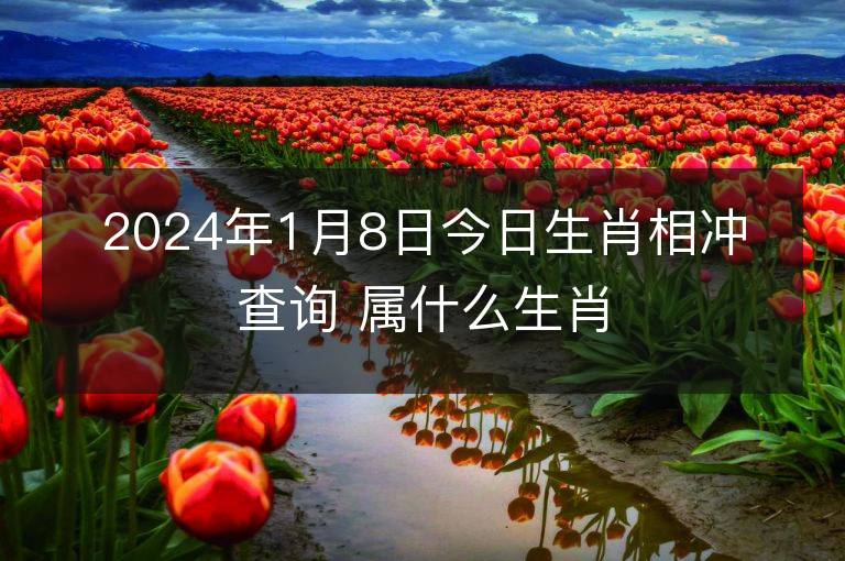 2024年1月8日今日生肖相沖查詢 屬什么生肖