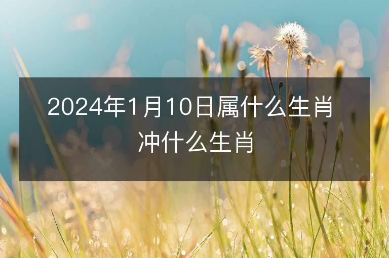 2024年1月10日屬什么生肖 沖什么生肖