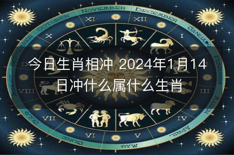 今日生肖相沖 2024年1月14日沖什么屬什么生肖