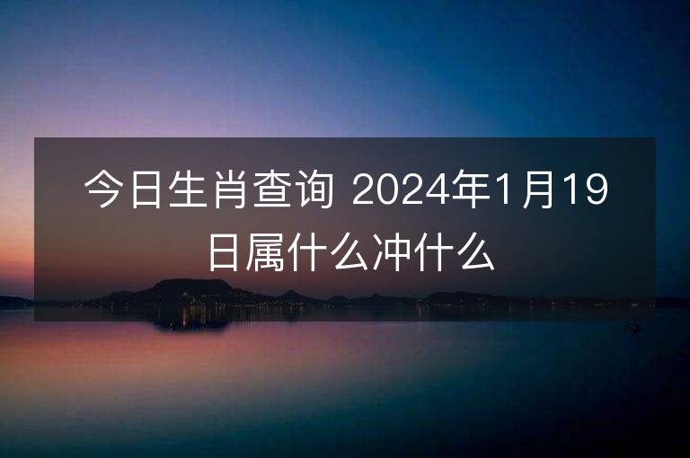 今日生肖查詢 2024年1月19日屬什么沖什么