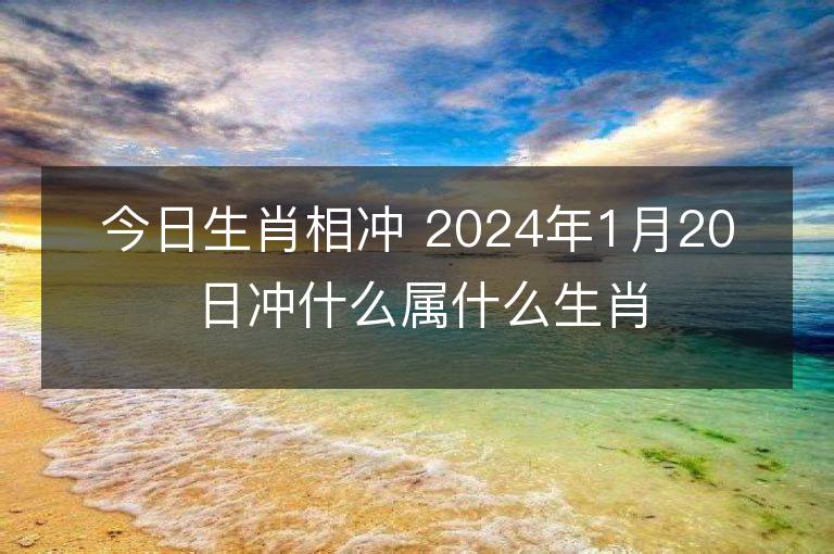 今日生肖相沖 2024年1月20日沖什么屬什么生肖