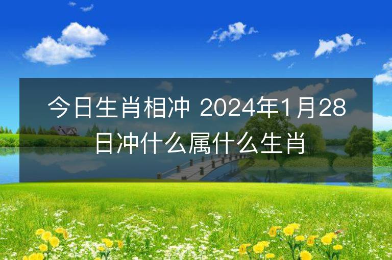 今日生肖相沖 2024年1月28日沖什么屬什么生肖