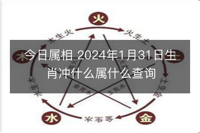 今日屬相 2024年1月31日生肖沖什么屬什么查詢