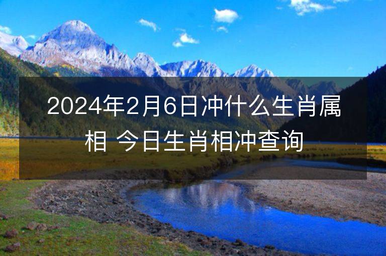 2024年2月6日沖什么生肖屬相 今日生肖相沖查詢