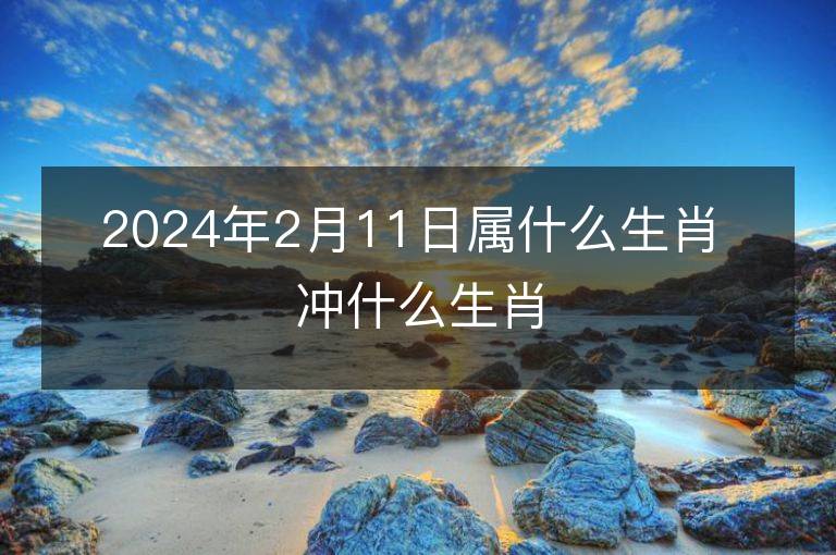 2024年2月11日屬什么生肖 沖什么生肖