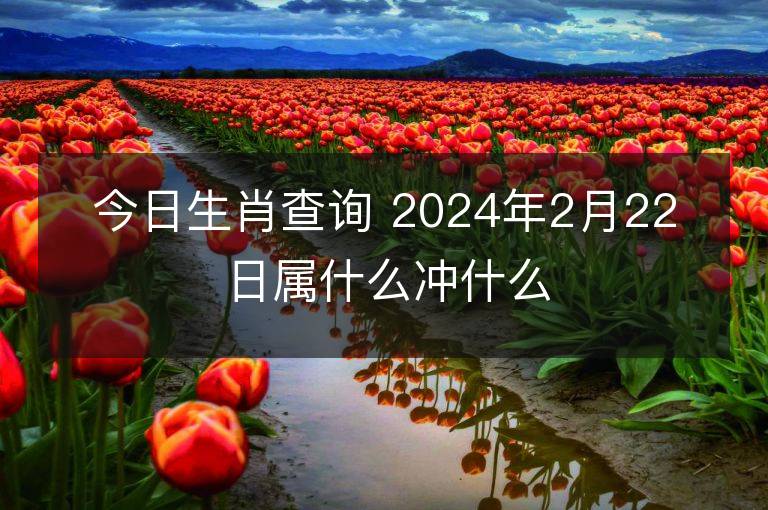 今日生肖查詢 2024年2月22日屬什么沖什么