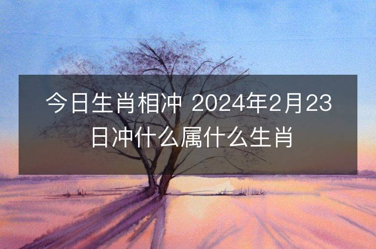 今日生肖相沖 2024年2月23日沖什么屬什么生肖