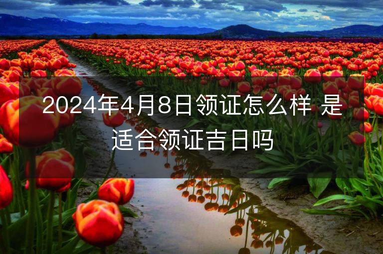 2024年4月8日領證怎么樣 是適合領證吉日嗎