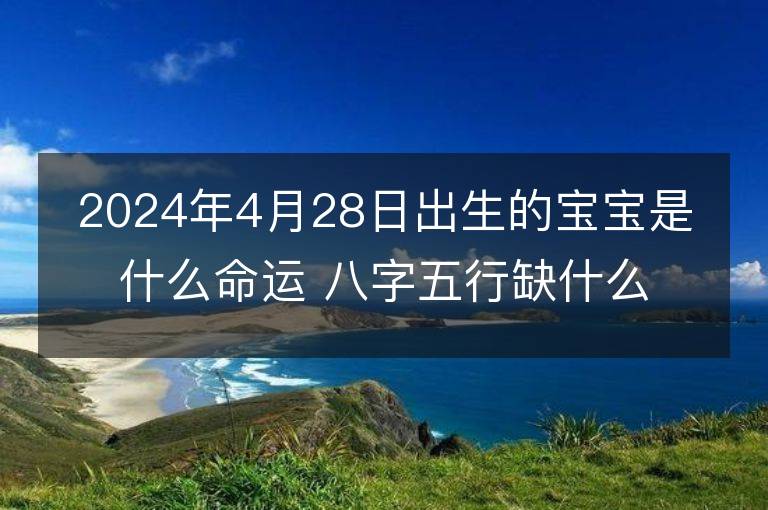 2024年4月28日出生的寶寶是什么命運 八字五行缺什么