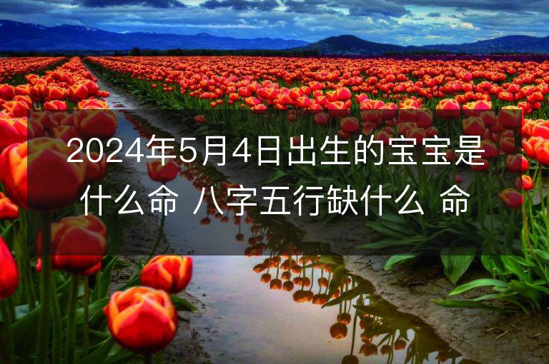 2024年5月4日出生的寶寶是什么命 八字五行缺什么 命好嗎