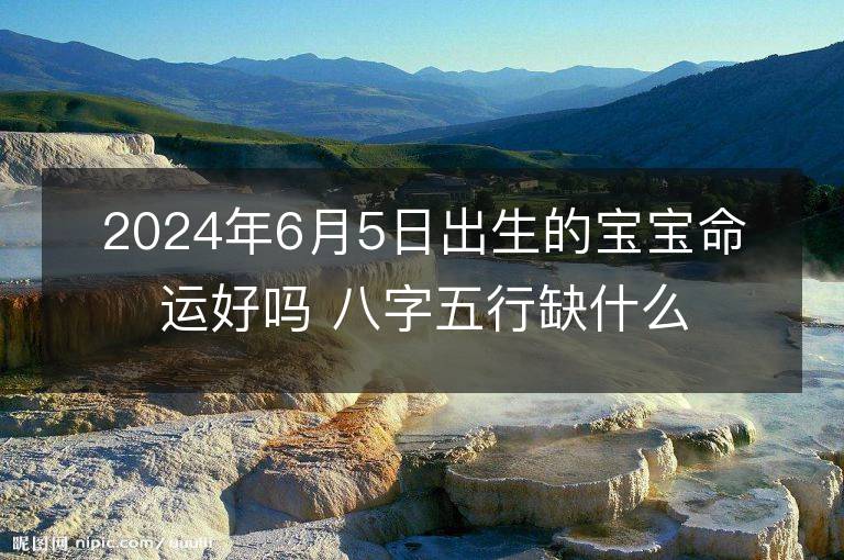 2024年6月5日出生的寶寶命運好嗎 八字五行缺什么