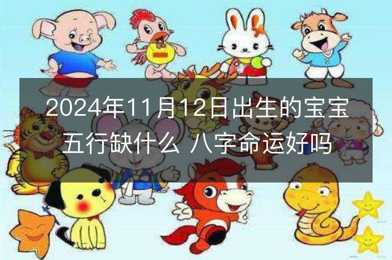 2024年11月12日出生的寶寶五行缺什么 八字命運好嗎