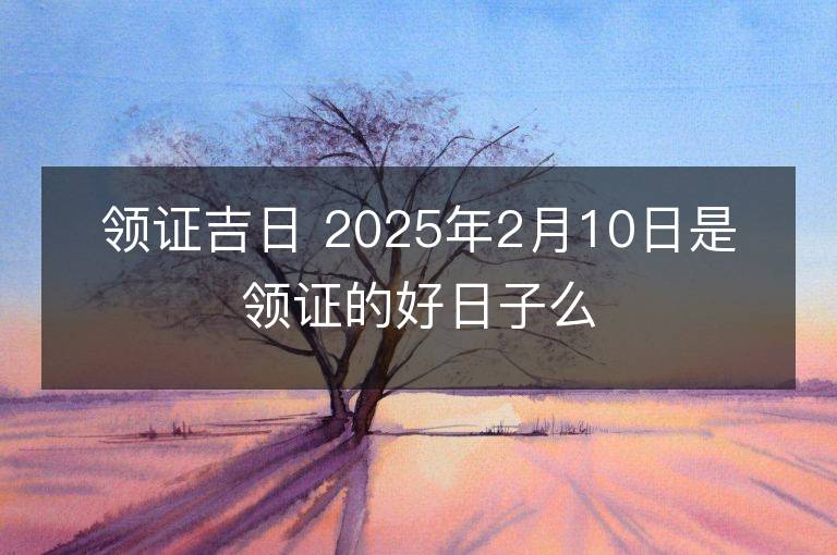 領證吉日 2025年2月10日是領證的好日子么