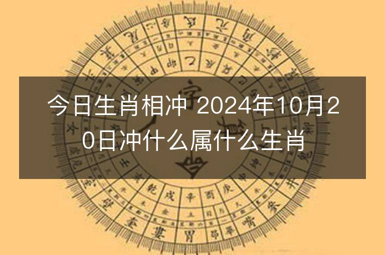 今日生肖相沖 2024年10月20日沖什么屬什么生肖