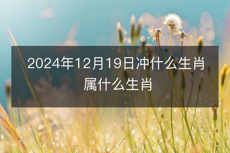 2024年12月19日沖什么生肖 屬什么生肖