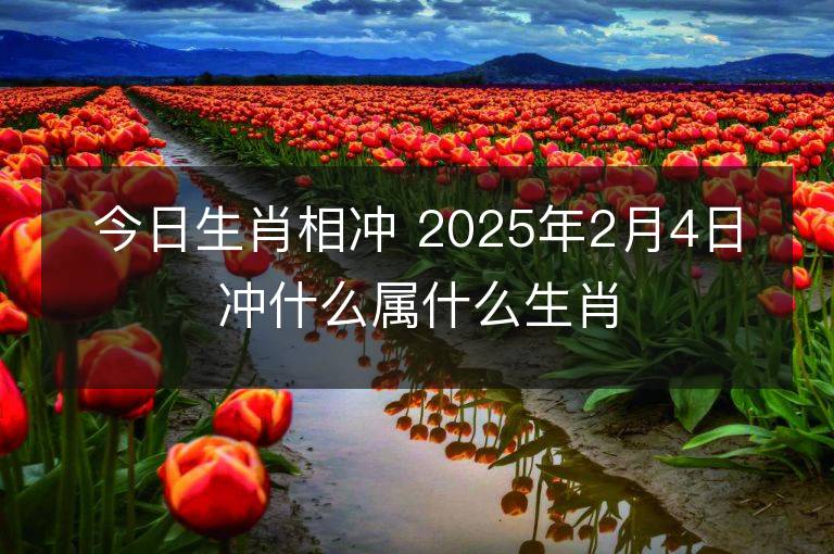 今日生肖相沖 2025年2月4日沖什么屬什么生肖