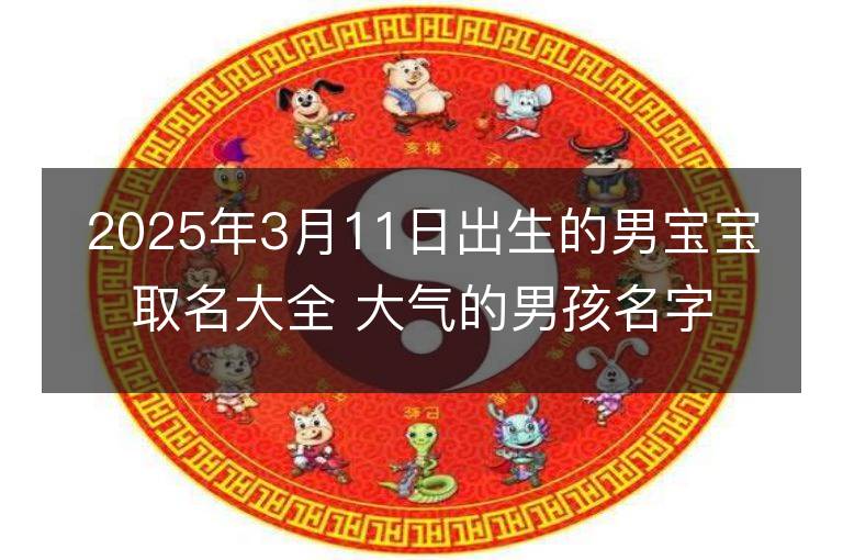 2025年3月11日出生的男寶寶取名大全 大氣的男孩名字