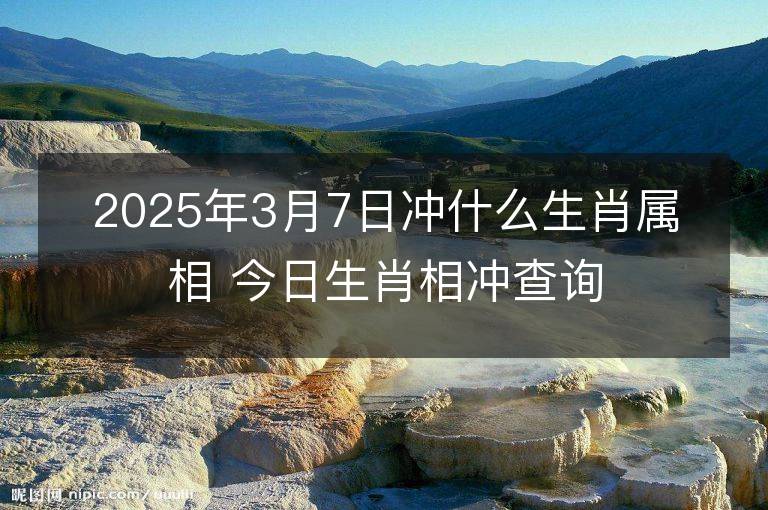 2025年3月7日沖什么生肖屬相 今日生肖相沖查詢