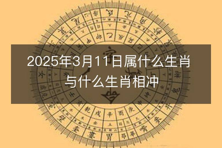 2025年3月11日屬什么生肖 與什么生肖相沖