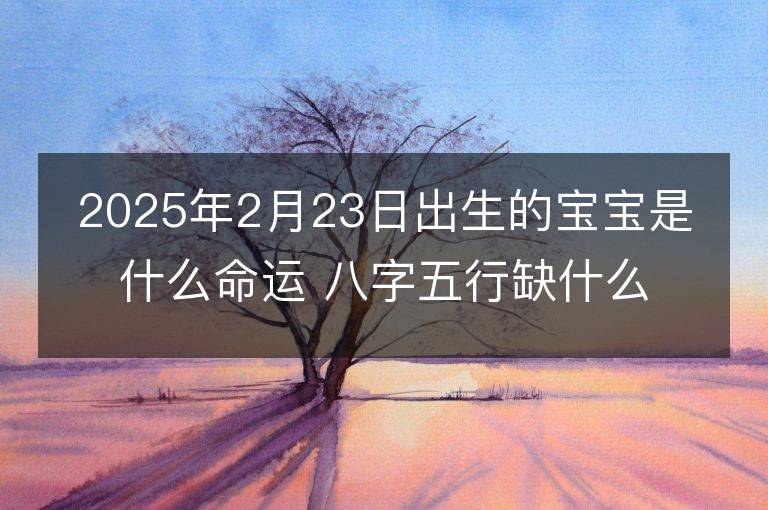 2025年2月23日出生的寶寶是什么命運 八字五行缺什么