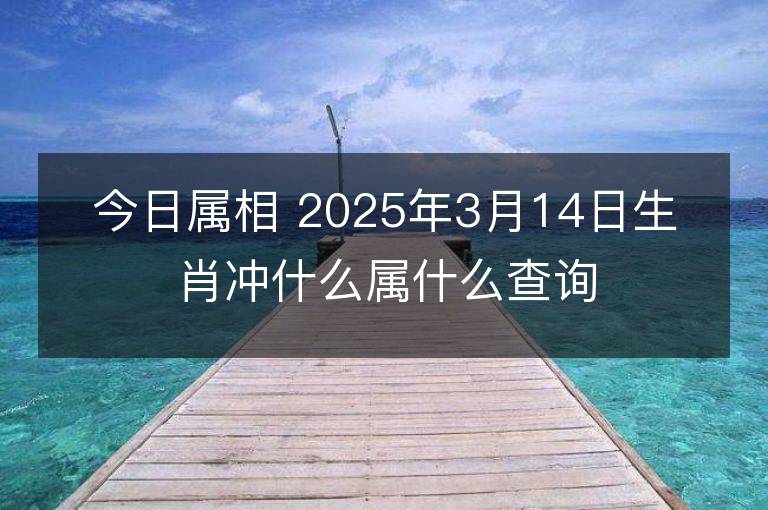 今日屬相 2025年3月14日生肖沖什么屬什么查詢