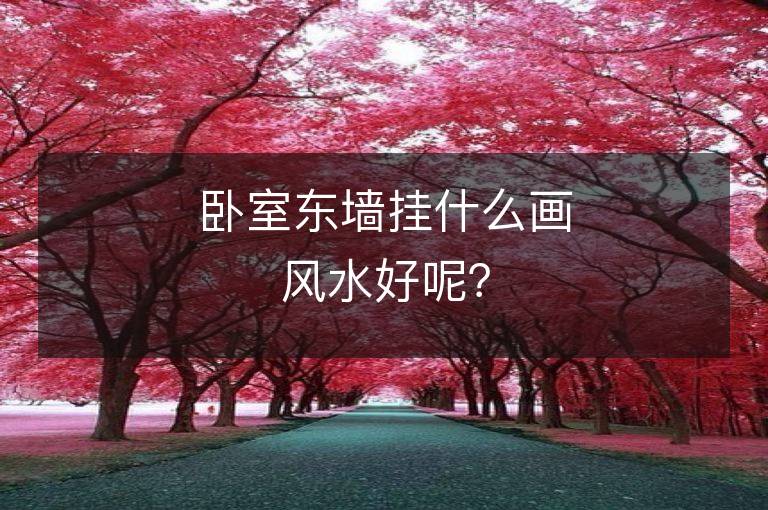 臥室東墻掛什么畫風水好呢？