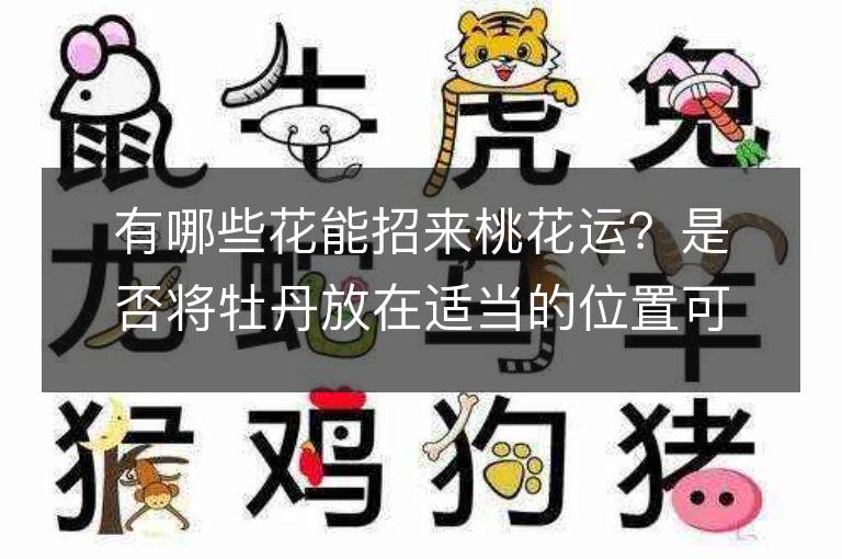 有哪些花能招來桃花運？是否將牡丹放在適當的位置可以旺財和桃花？