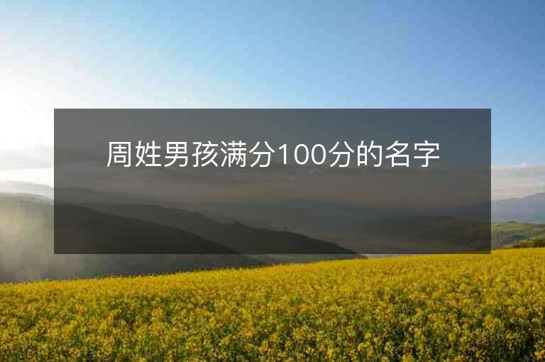 周姓男孩滿分100分的名字