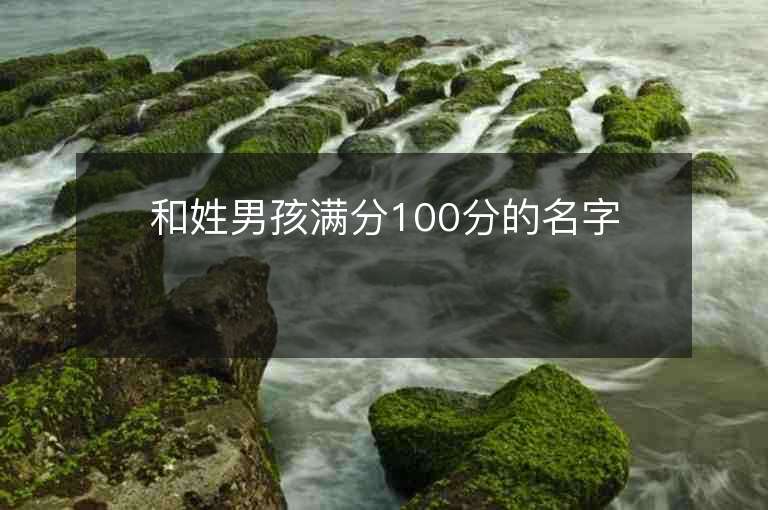 和姓男孩滿分100分的名字