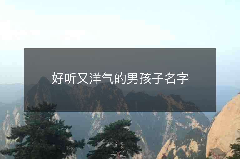 好聽又洋氣的男孩子名字