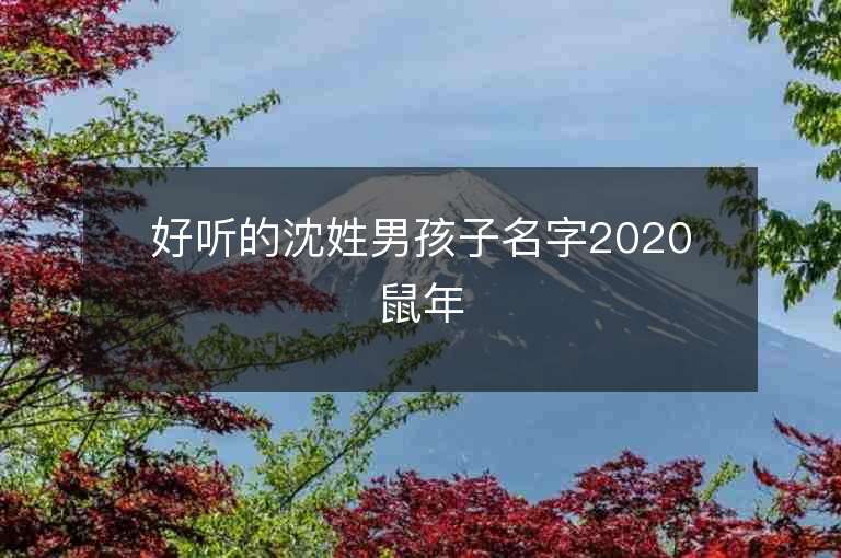 好聽的沈姓男孩子名字2020鼠年