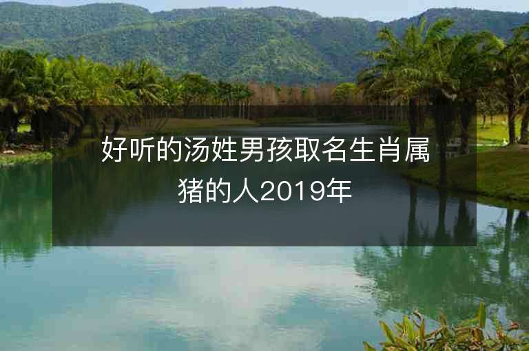 好聽的湯姓男孩取名生肖屬豬的人2019年