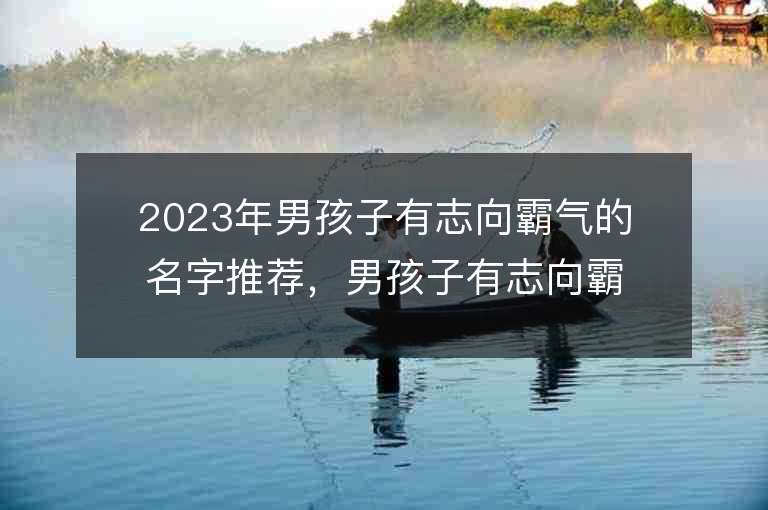 2023年男孩子有志向霸氣的名字推薦，男孩子有志向霸氣的名字2023起名