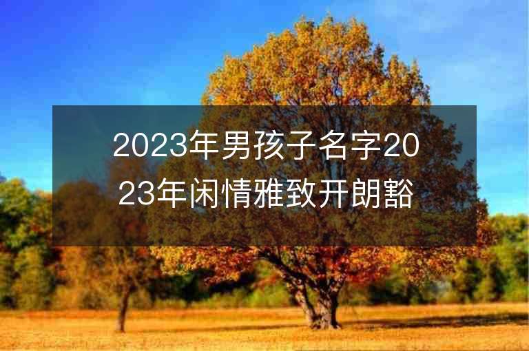 2023年男孩子名字2023年閑情雅致開朗豁達的男孩取名字推薦