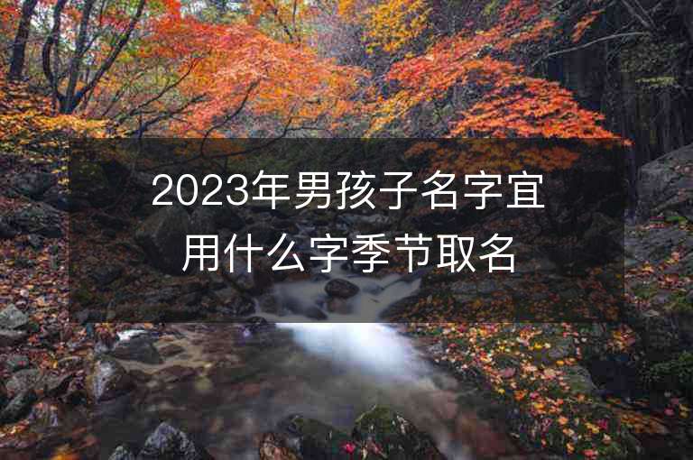 2023年男孩子名字宜用什么字季節取名靈感豐富