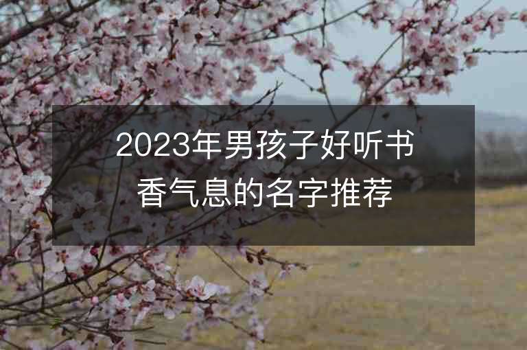 2023年男孩子好聽書香氣息的名字推薦，男孩子好聽書香氣息的名字2023起名