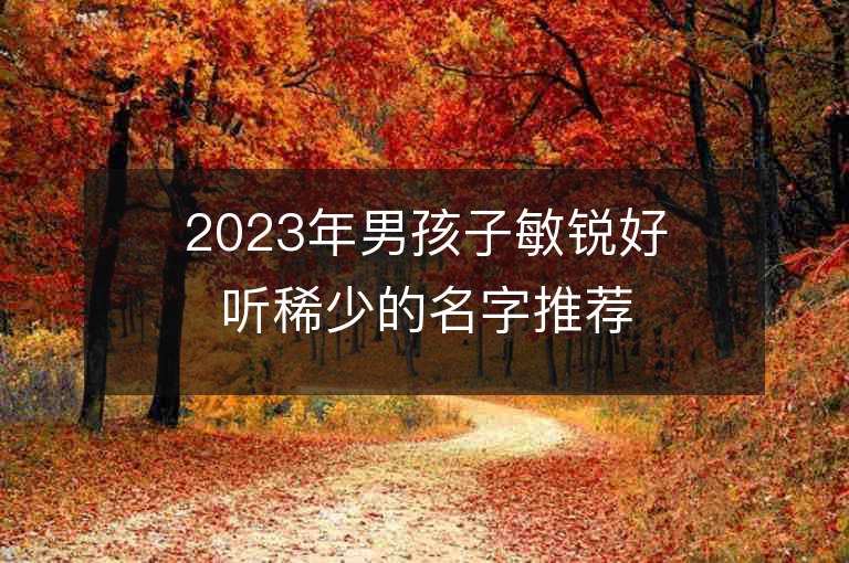 2023年男孩子敏銳好聽稀少的名字推薦，男孩子敏銳好聽稀少的名字2023起名