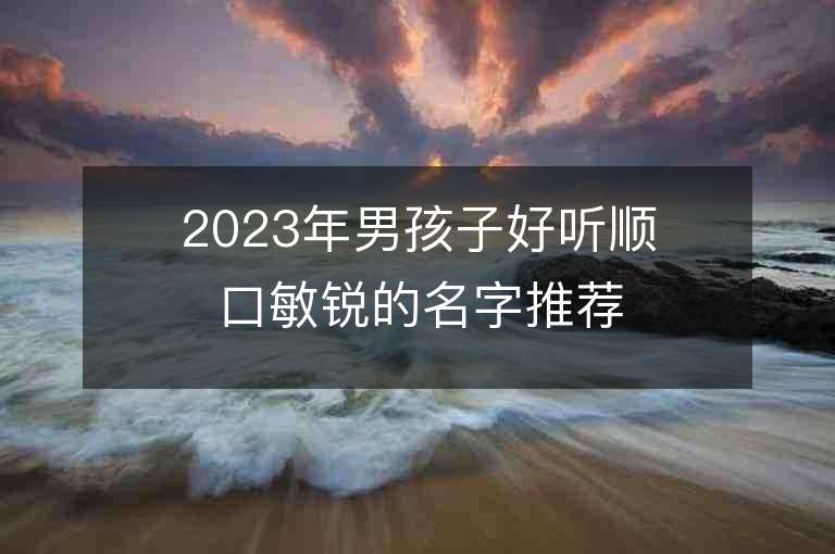 2023年男孩子好聽順口敏銳的名字推薦，男孩子好聽順口敏銳的名字2023起名