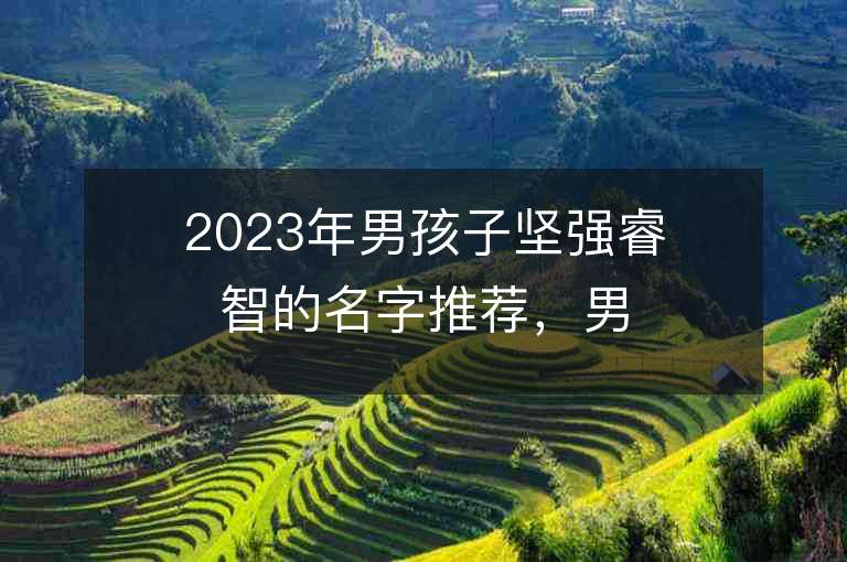 2023年男孩子堅強睿智的名字推薦，男孩子堅強睿智的名字2023起名