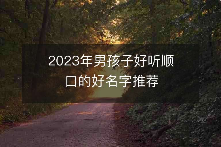 2023年男孩子好聽順口的好名字推薦