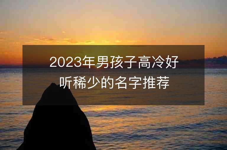 2023年男孩子高冷好聽稀少的名字推薦，男孩子高冷好聽稀少的名字2023起名