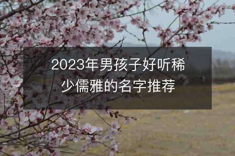 2023年男孩子好聽稀少儒雅的名字推薦，男孩子好聽稀少儒雅的名字2023起名