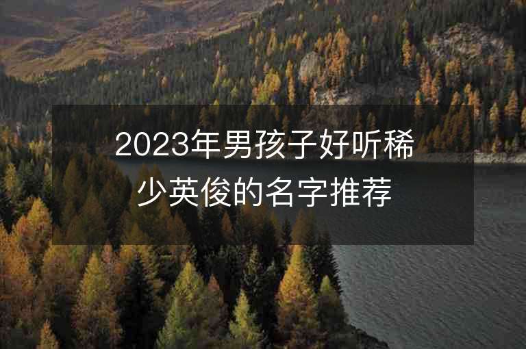 2023年男孩子好聽稀少英俊的名字推薦，男孩子好聽稀少英俊的名字2023起名